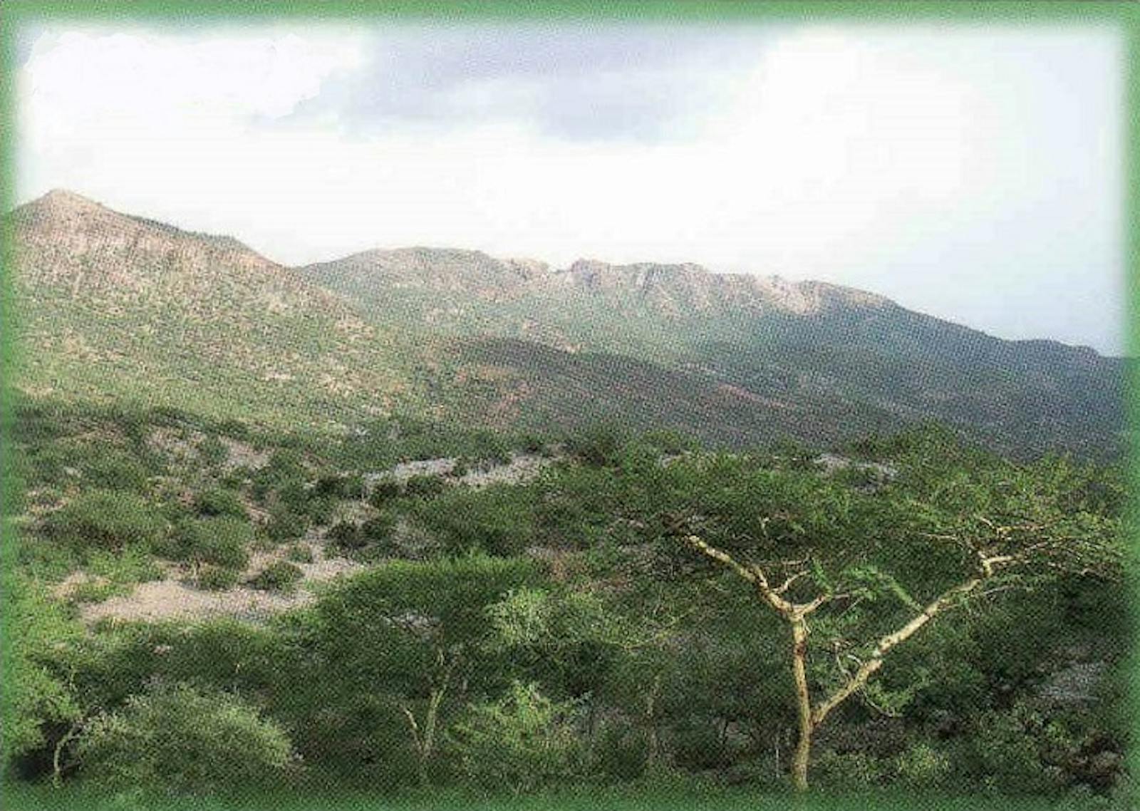 Eritrean Coastal Desert