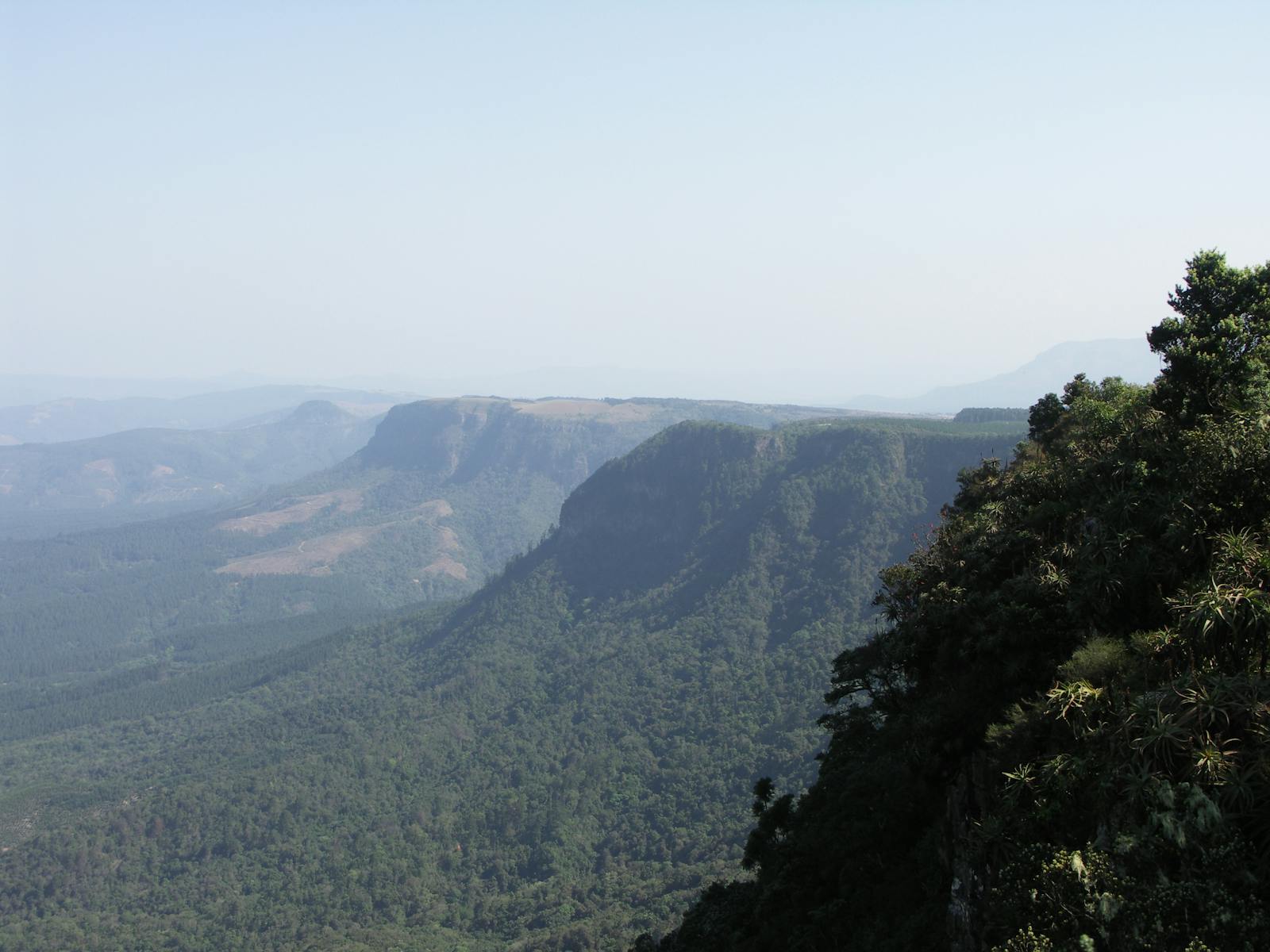 Drakensberg Escarpment Savanna and Thicket