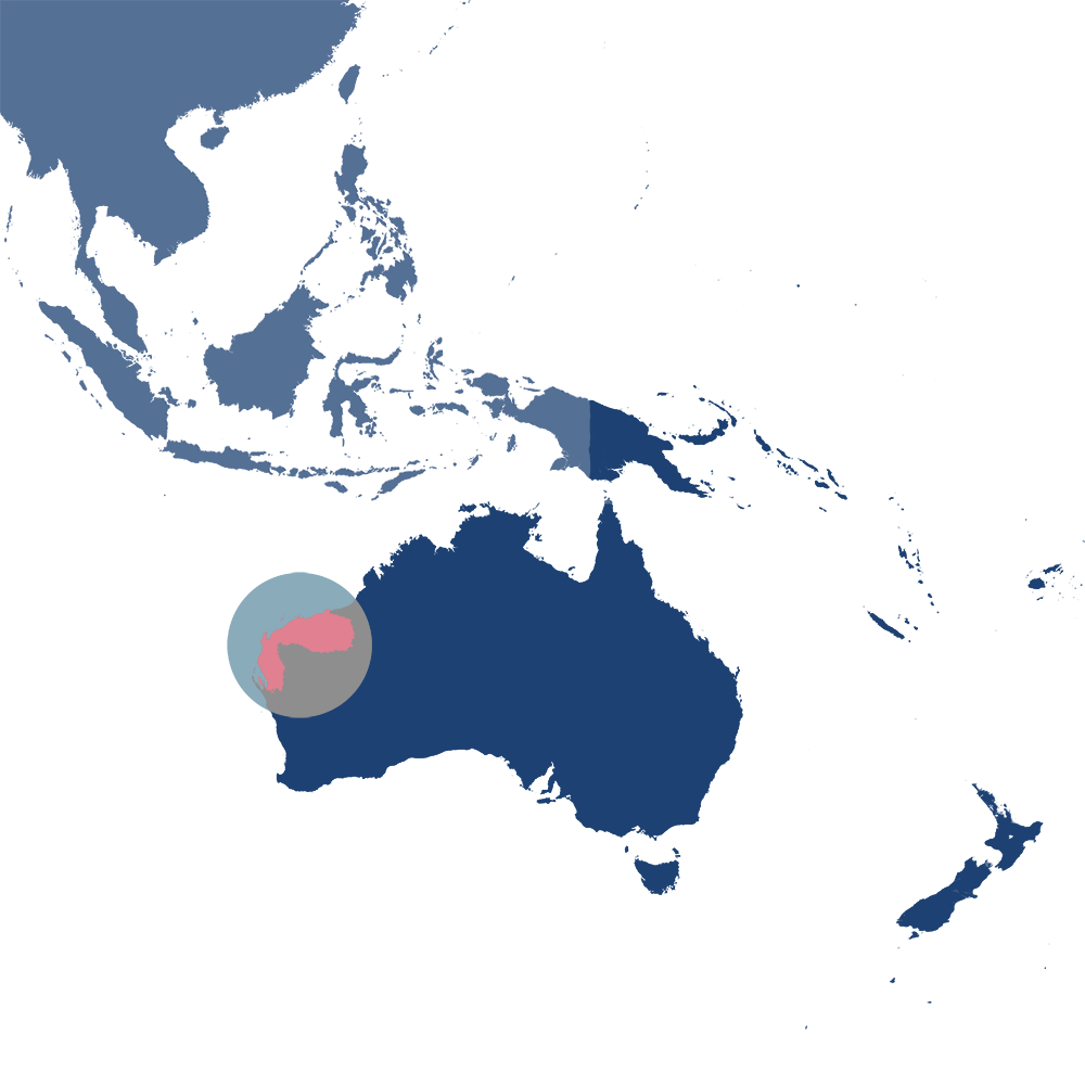 The Pilbara olive python is the iconic species of the West Australian Dry Coastal Shrublands bioregion (AU6), located in the Australia subrealm of Australasia. The Pilbara olive python is the iconic species of the West Australian Dry Coastal Shrublands bioregion (AU6), located in the Australia subrealm of Australasia.