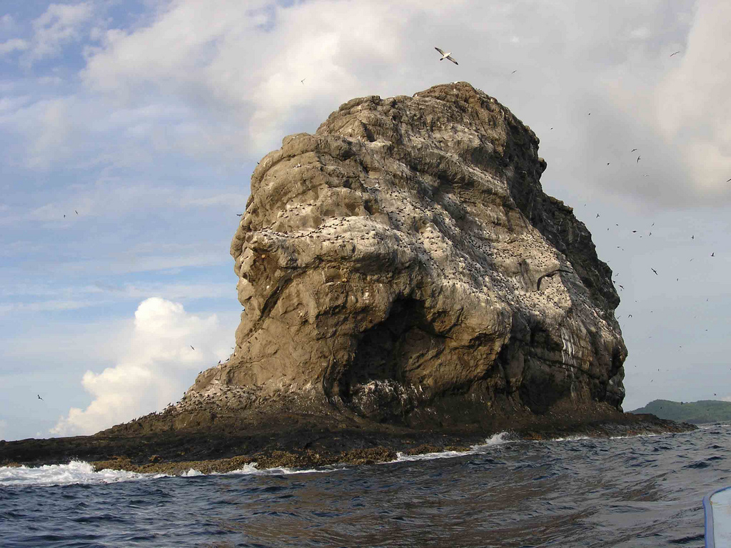 Seabirds on Mchaco Islet in Mohéli National Park. Image credit: Daryl Wallace, CC by SA 2.0