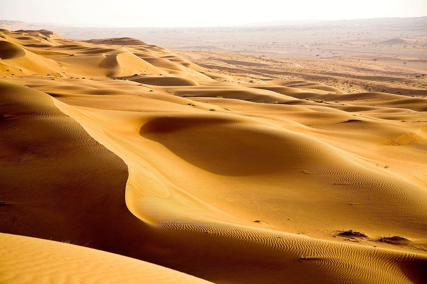 Arabian Sand Desert