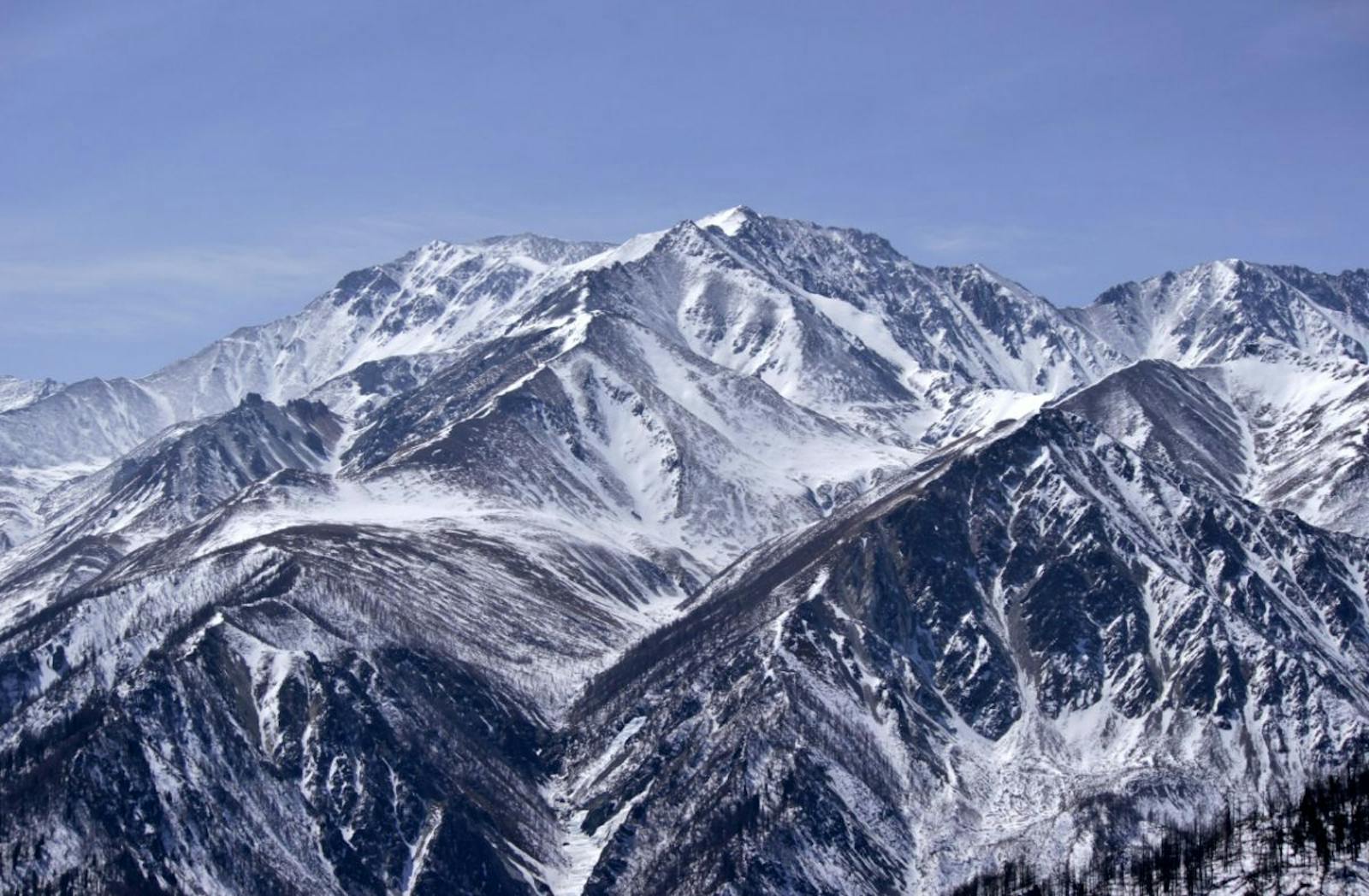 Sayan Alpine Meadows and Tundra