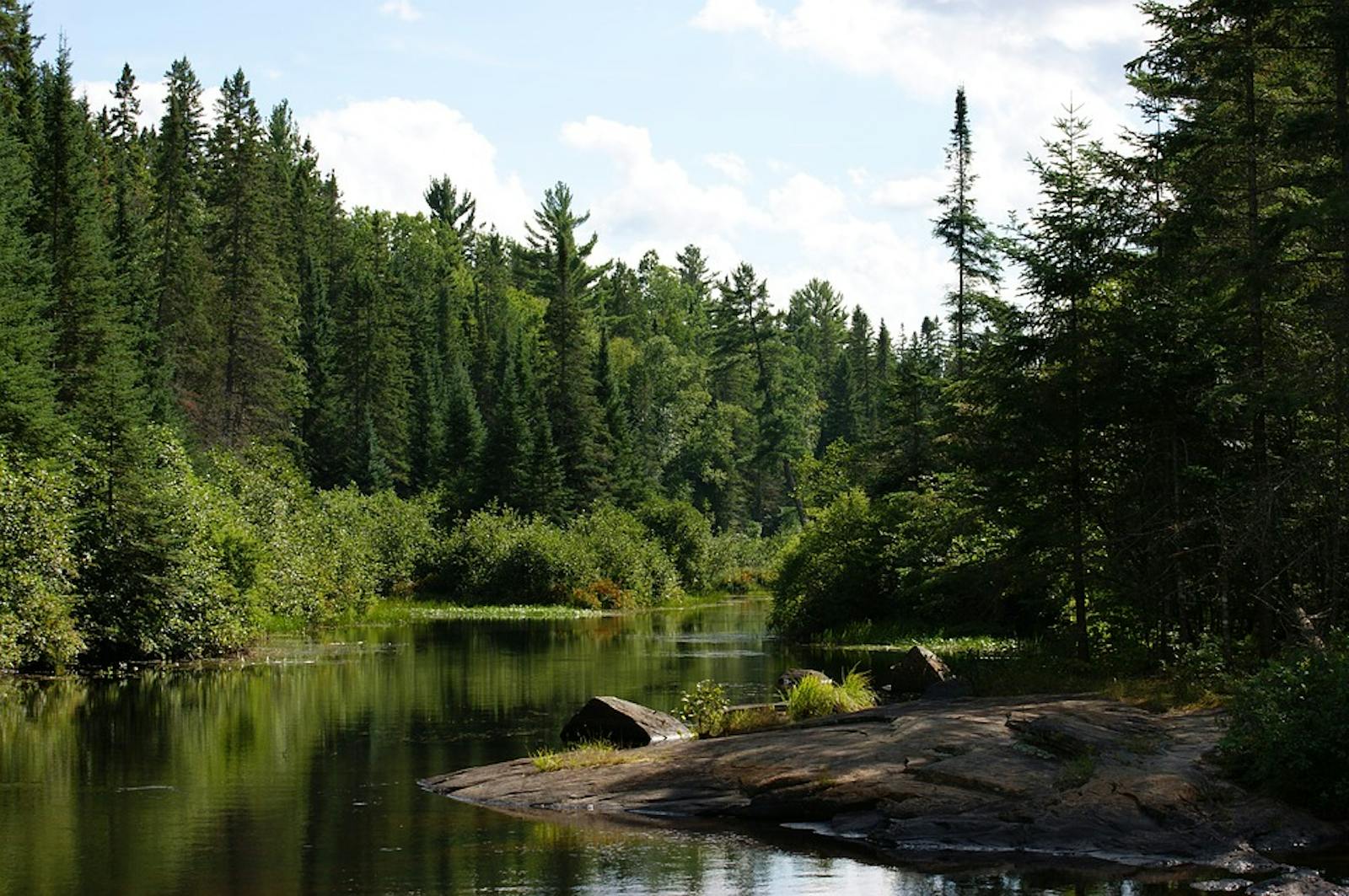 Eastern Canadian Temperate-Boreal Forest Transition