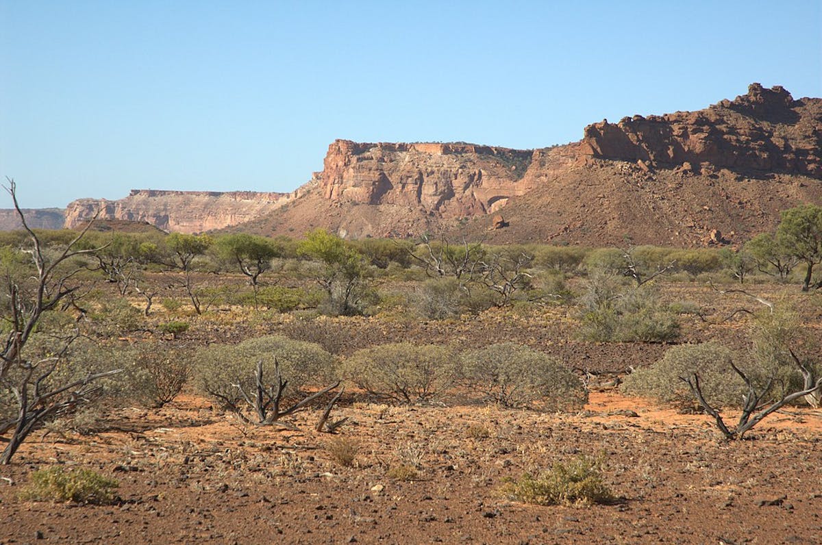 West Australian Dry Coastal Shrublands (AU6)