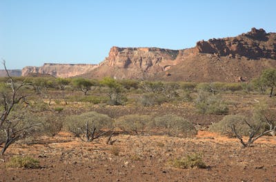 West Australian Dry Coastal Shrublands (AU6)