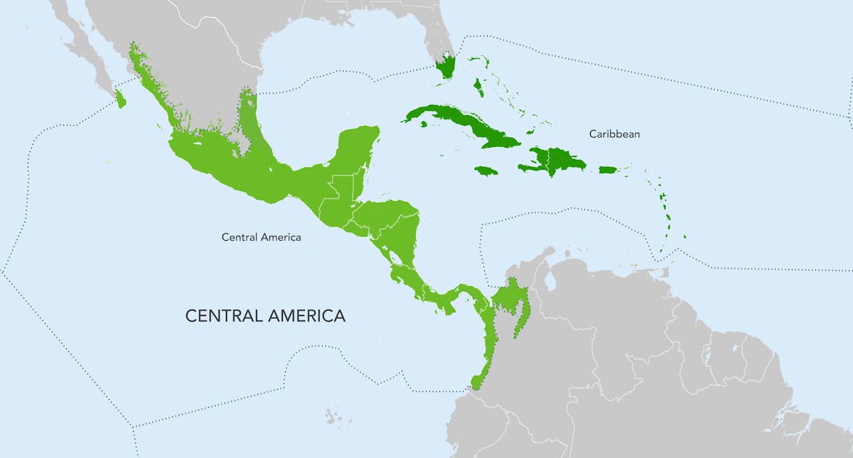 Central America