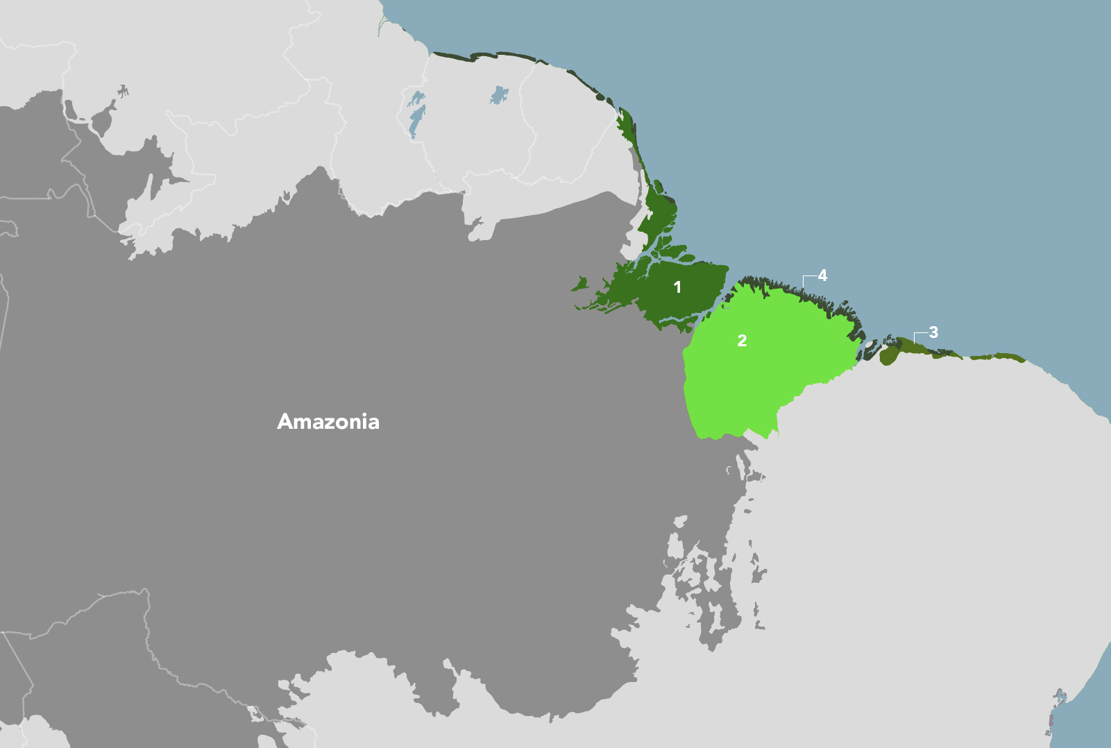 amazon river delta map