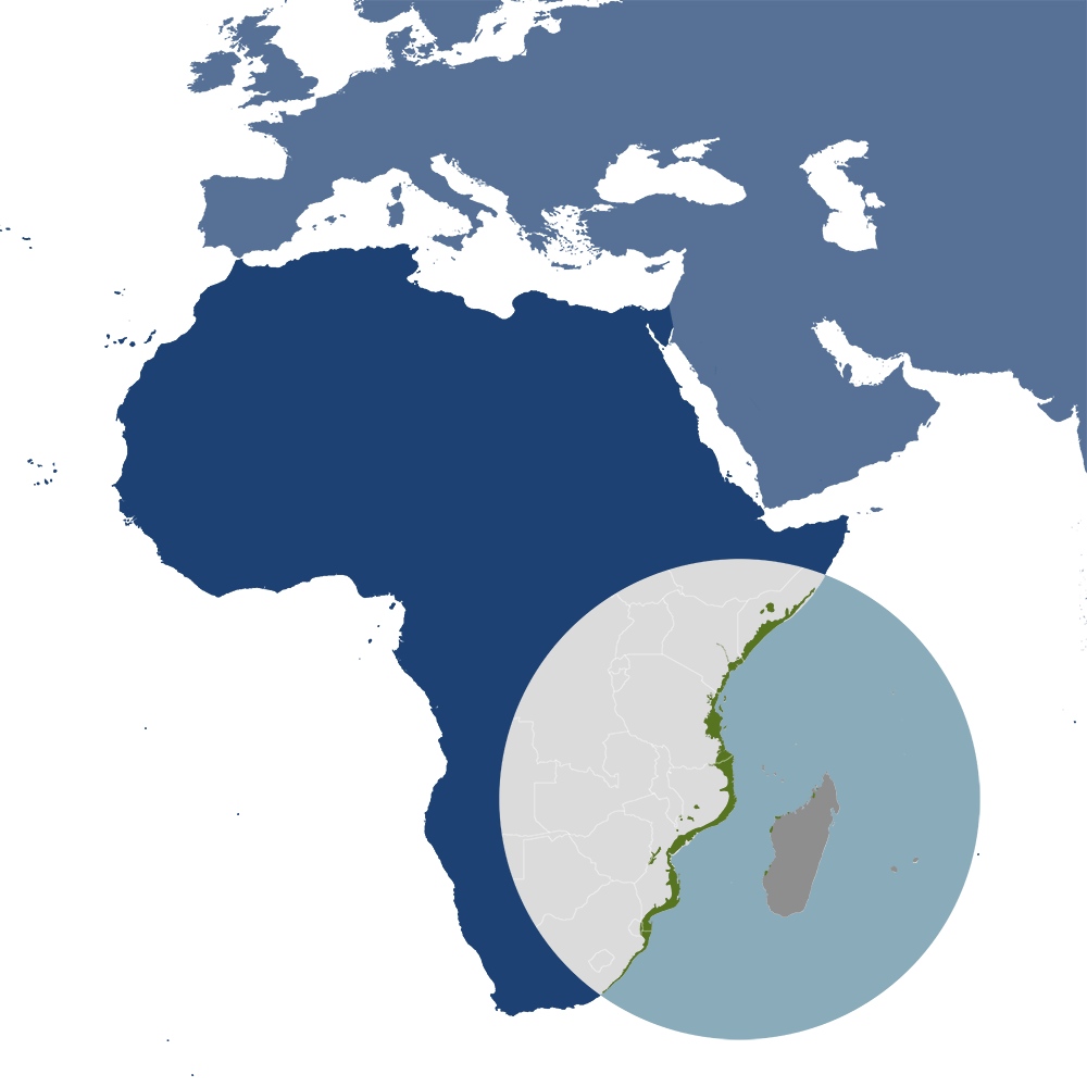 The East African Coastal Forests bioregion (AT7), located in the Madagascar & Eastern Afrotropics subrealm of the Afrotropics realm. Image Credit: One Earth.