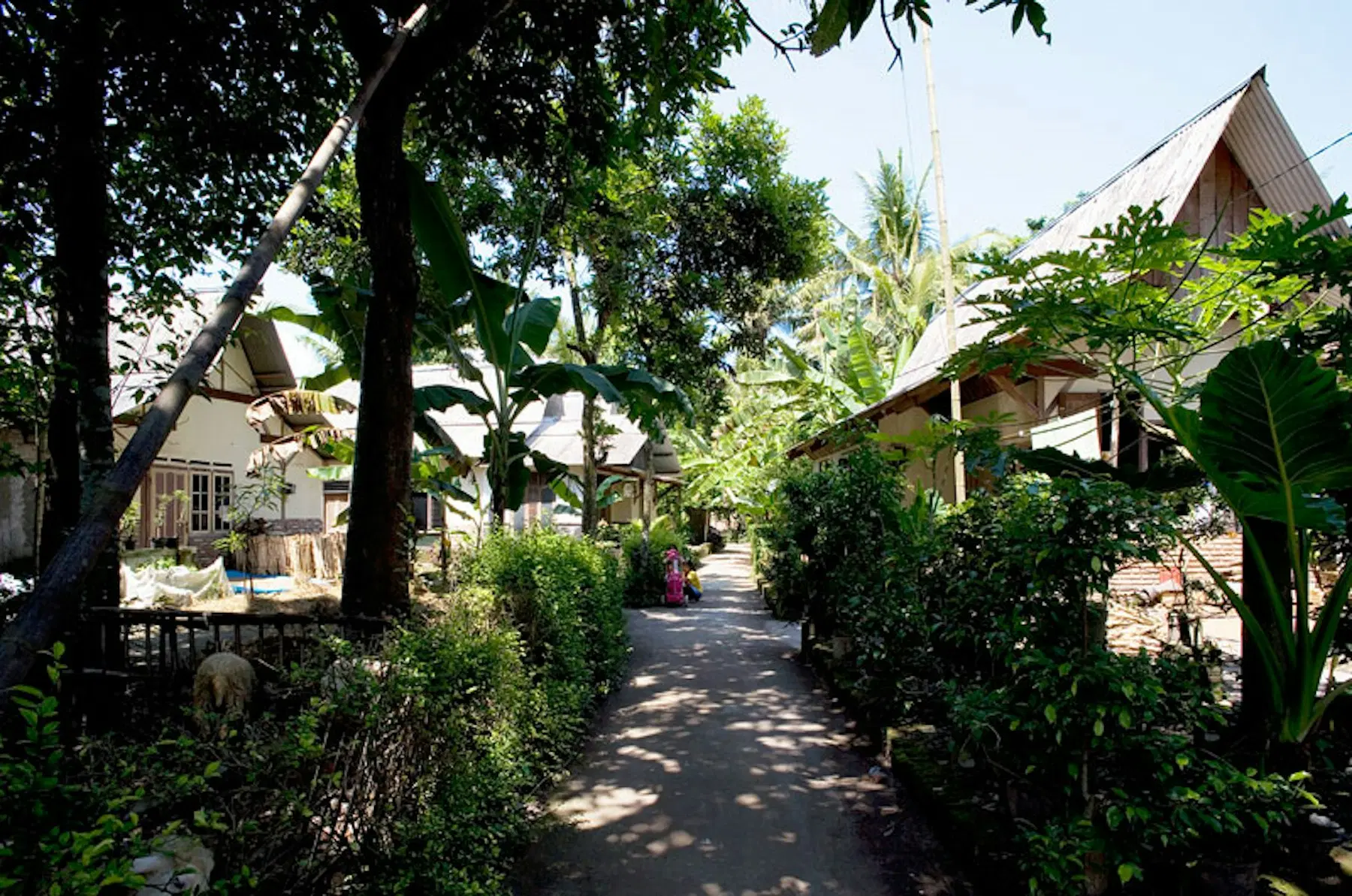 View of a street in Ngibikan after the village reconstruction project. Image Credit: AKAA / Ahkamul Hakim, AKDN.