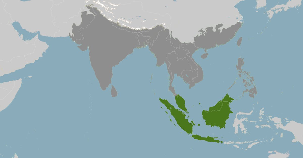 Malaysia & Western Indonesia