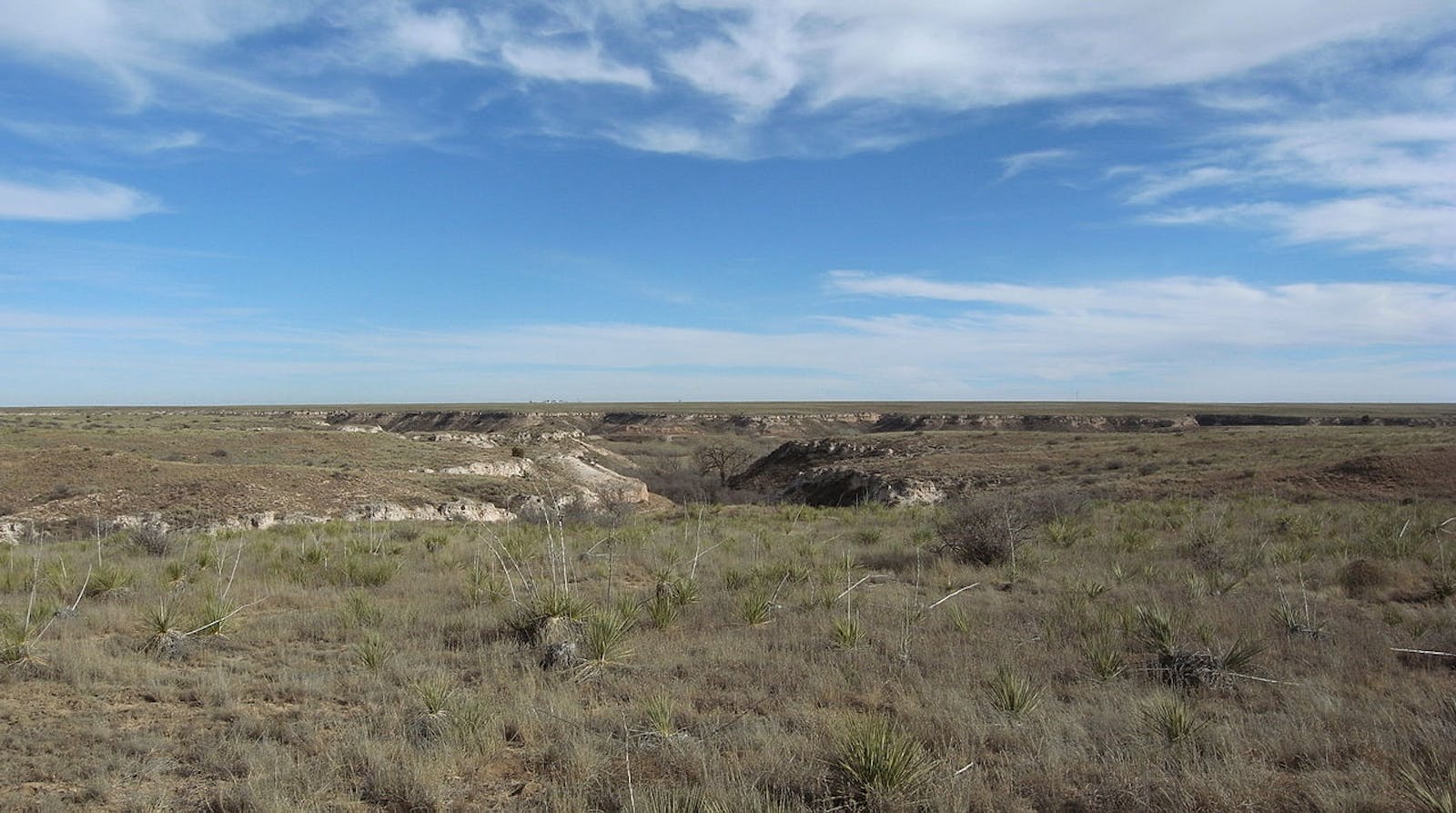 Western Shortgrass Prairie