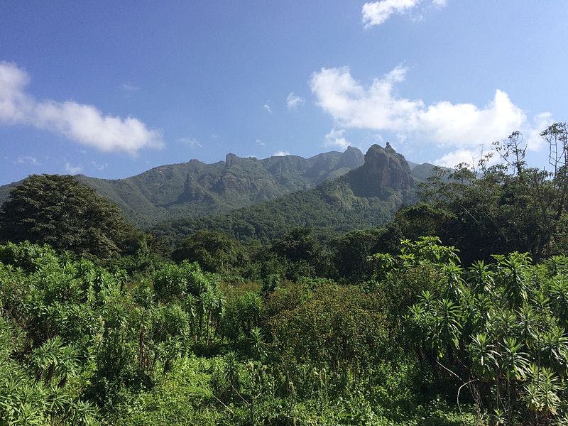 Ethiopian Montane Forests One Earth