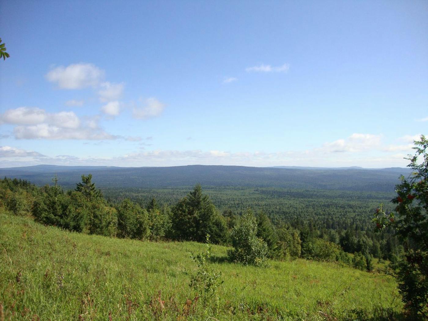 Ural Mountains & West Eurasian Taiga Forests (PA8)