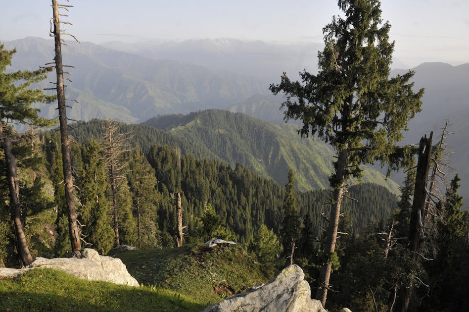 AfghanBalochistan Drylands, Mountain Meadows & Conifer Forests (PA30