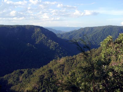 Queensland Tropical Rainforests & Savannas (AU9)
