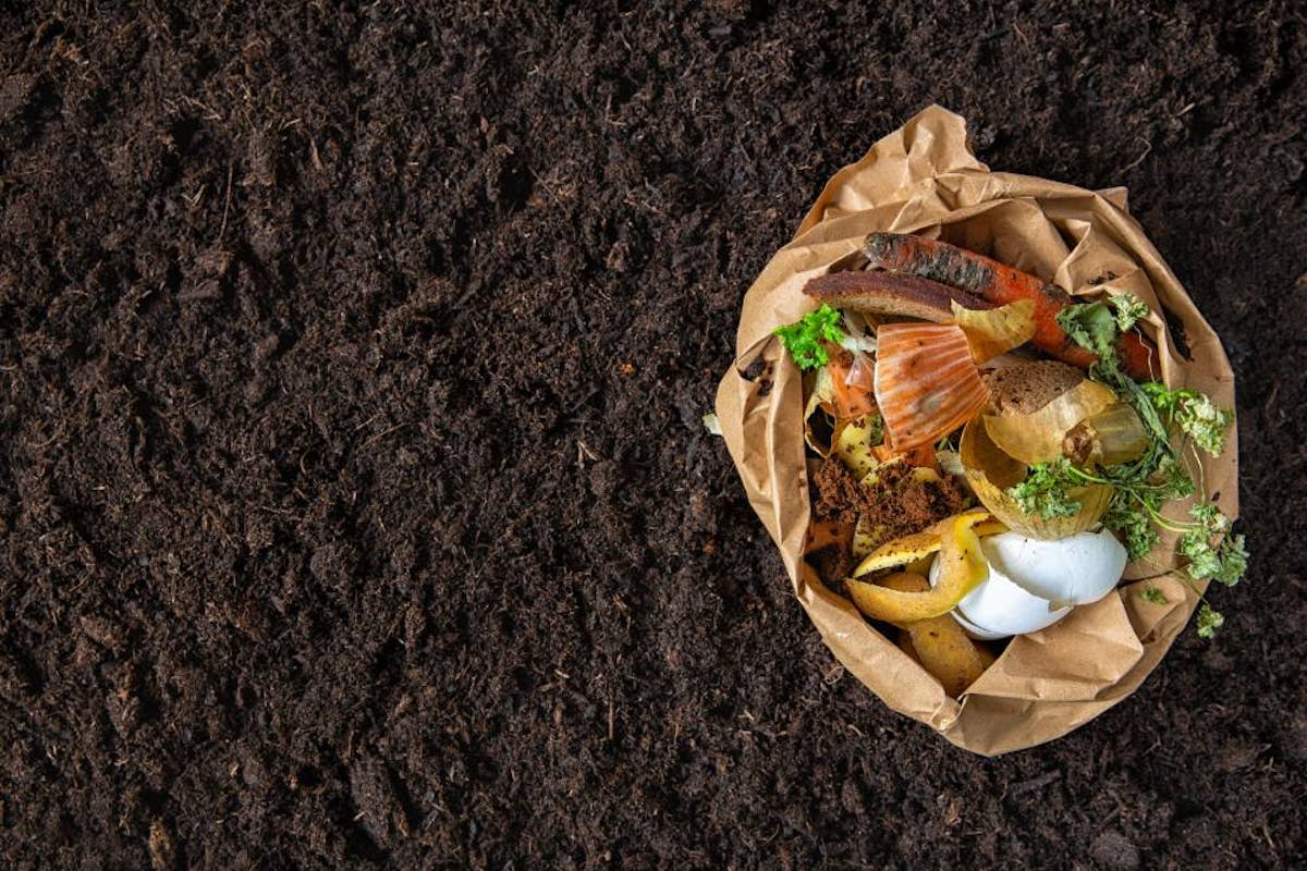 Composting: The simple climate solution you can do at home