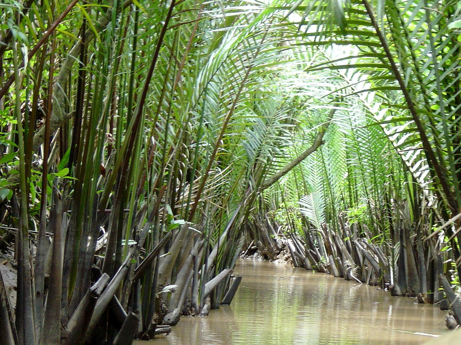 Indochina Mangroves
