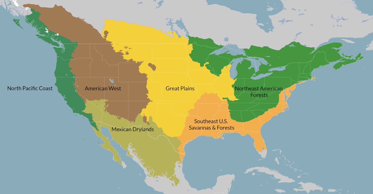 Northern America, Realm & Subrealms