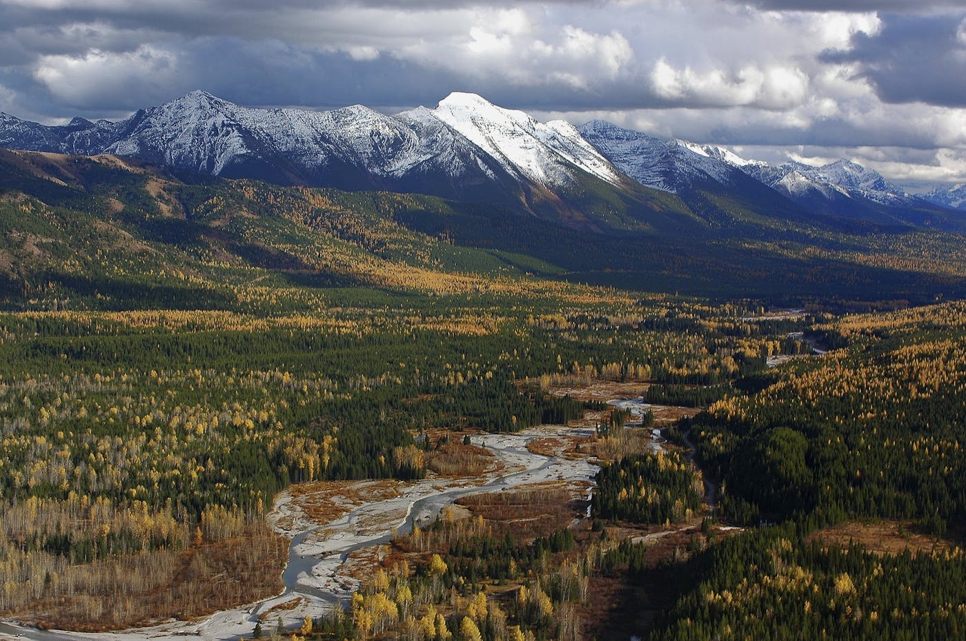 Greater Rockies & Mountain Forests (NA13)