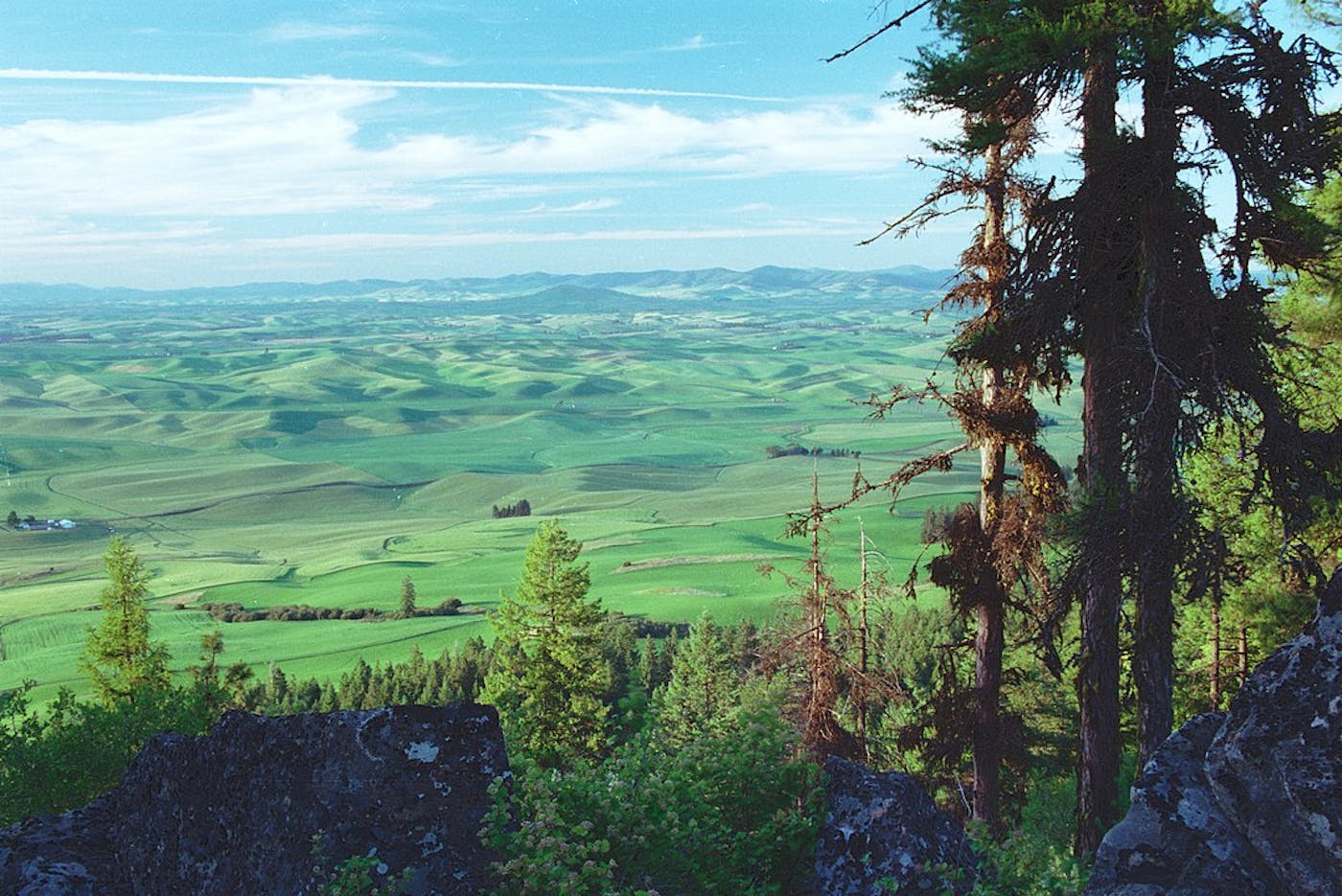 Columbia Plateau & Blue Mountains (NA17)