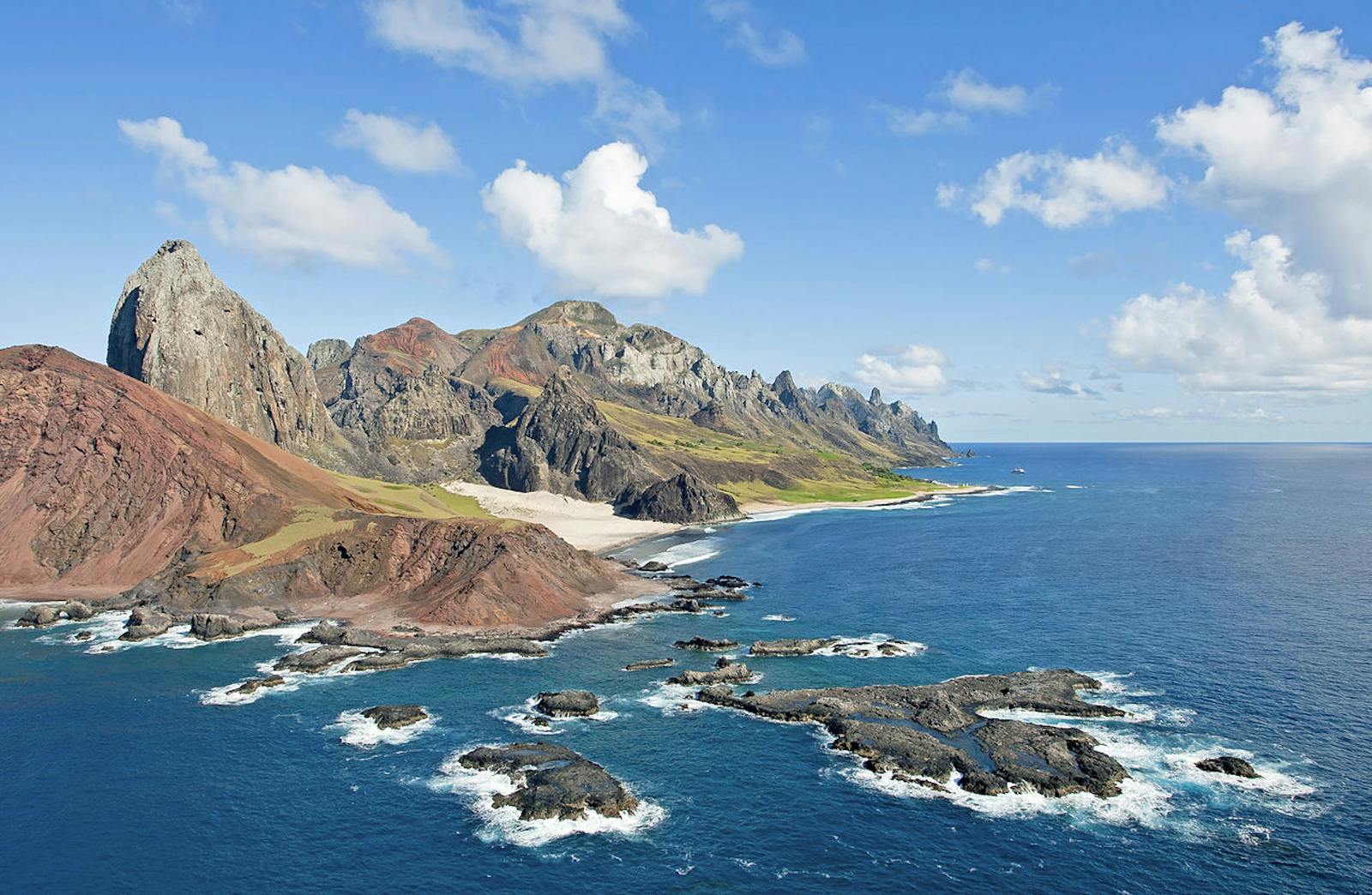 Trindade-Martin Vaz Islands Tropical Forests