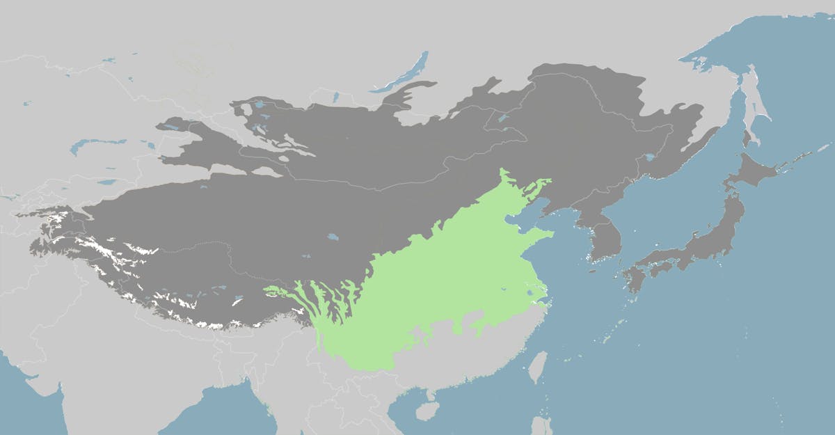 Central East Asian Forests