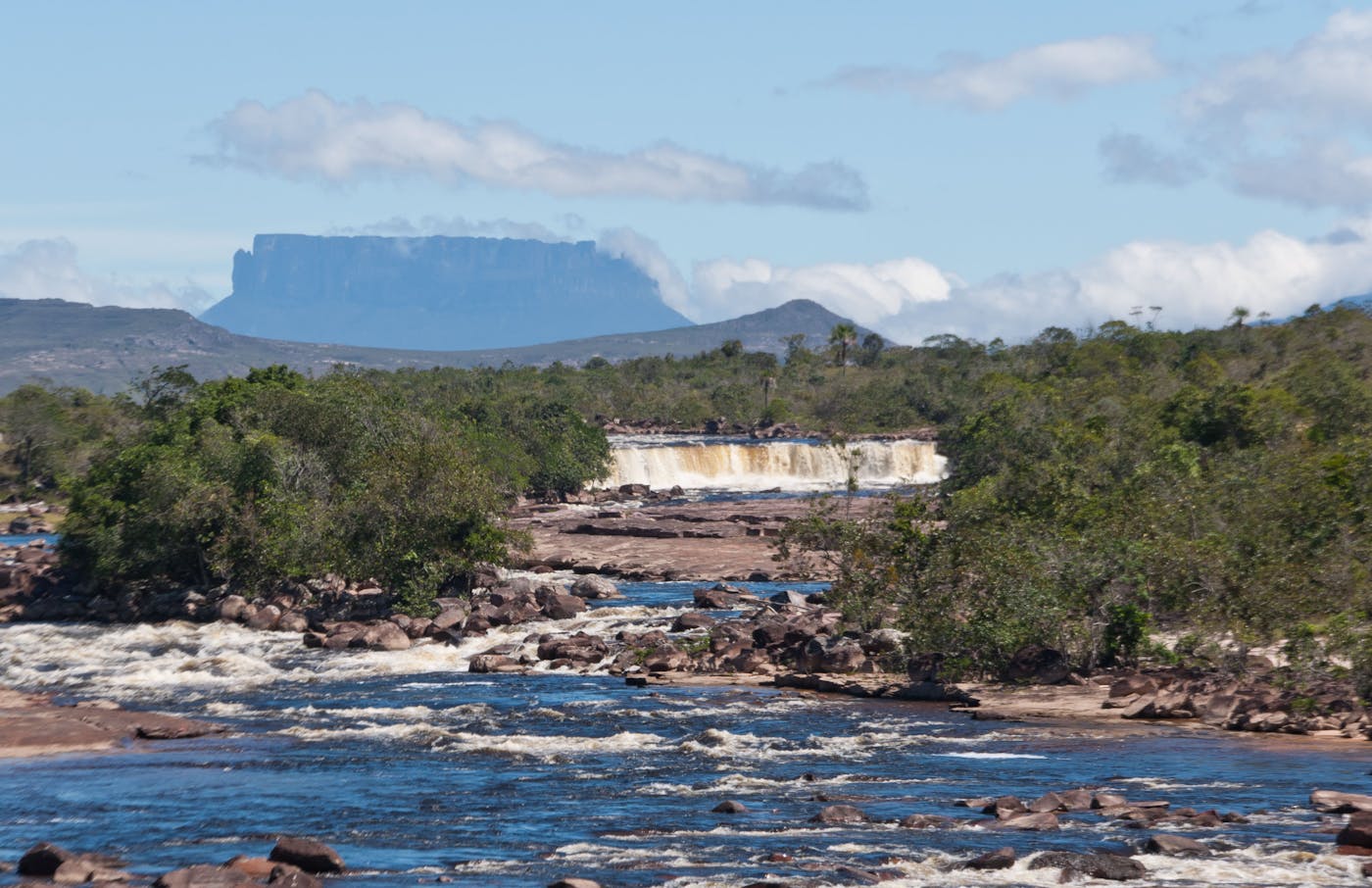 Guianan Forests & Savanna (NT21)