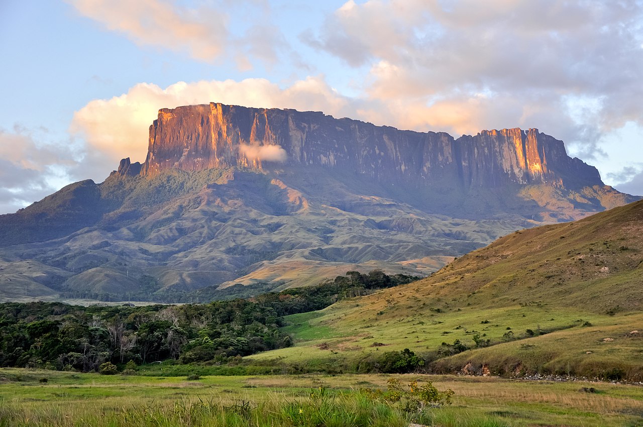 Guianan Forests Savanna Nt21 One Earth