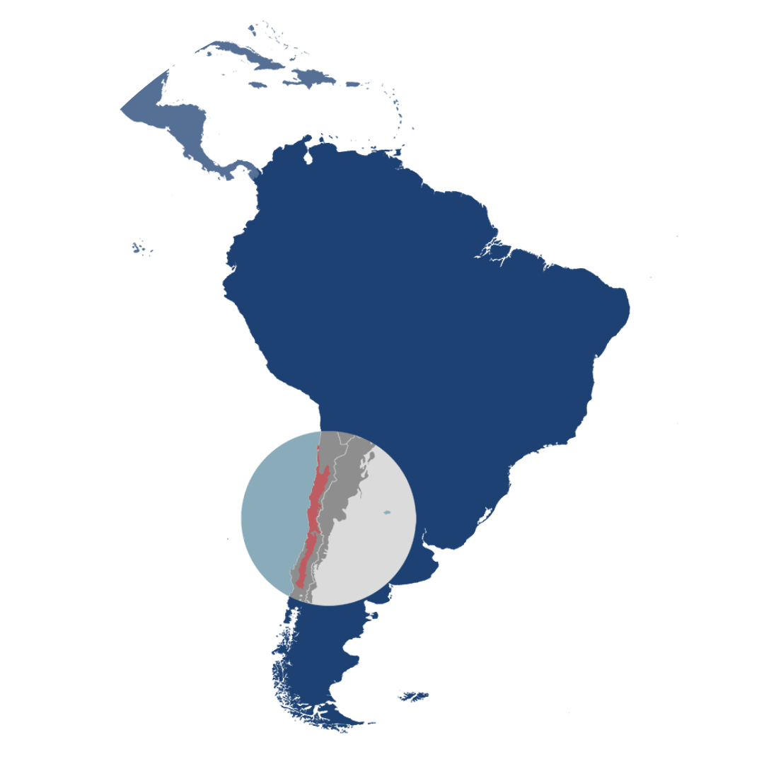 The Chilean Matorral Shrublands & Savanna bioregion (NT6) located in the Andes & Pacific Coast subrealm.