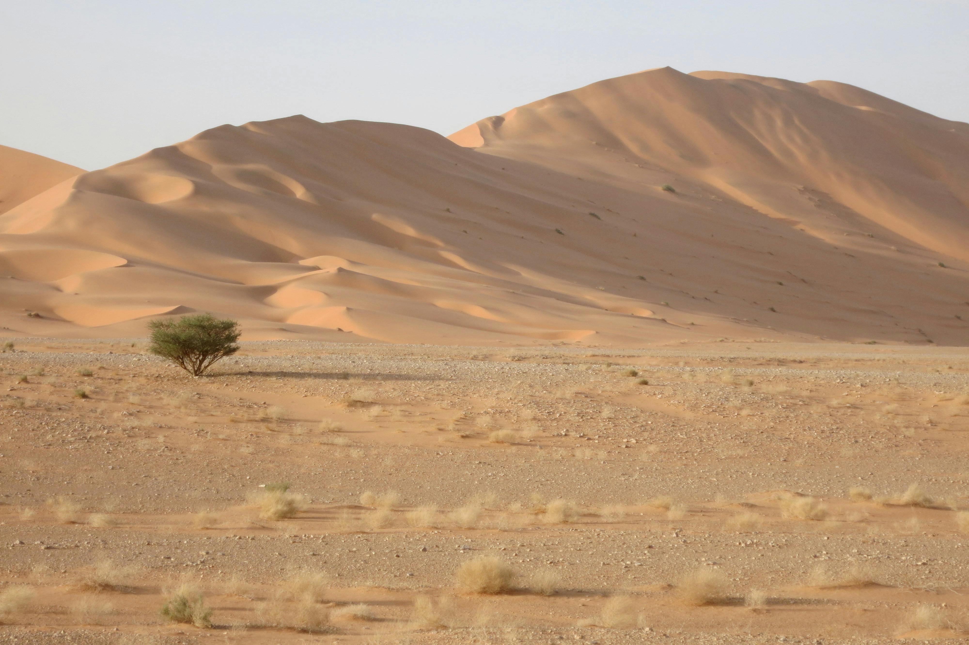 Arabian Sand Desert