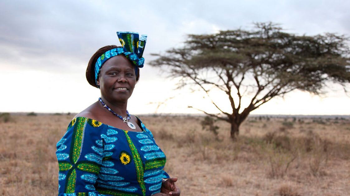 Climate Hero: Wangari Maathai | One Earth