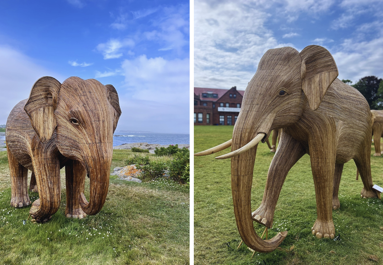 Kamini the Matriarch, representing One Earth's Co-founder and Executive Director, Justin Winters (left) and Arun the Tusker, symbolizing One Earth's Board Member, Rick Ridgeway (right). Image Credit: The Great Elephant Migration.