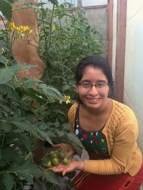Maria Rebeca now grows enough food to give her family three meals a day – and before COVID-19, supply a local school too. Image credit: ©FAO/José Itzep