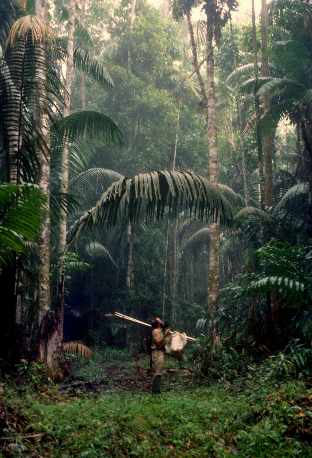 Eastern Panamanian Montane Forests One Earth