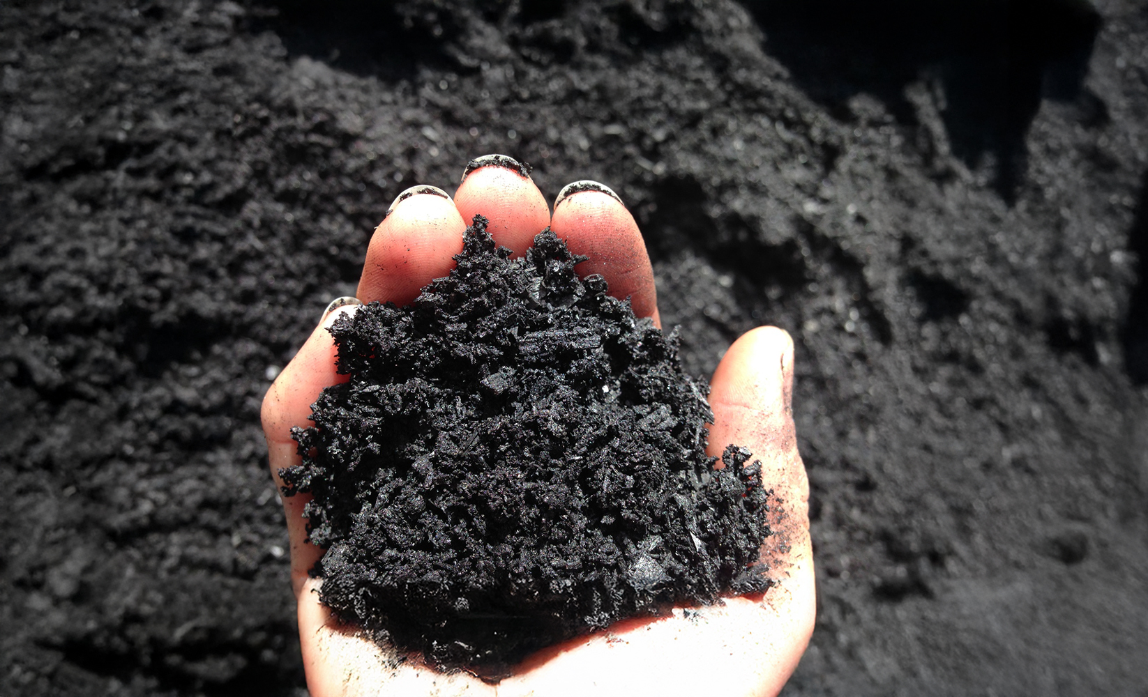 Biochar in hand.