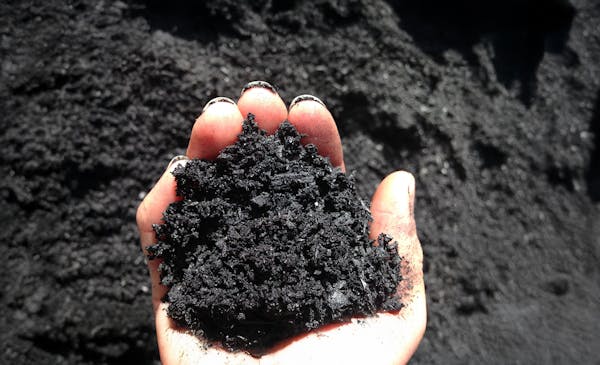 Biochar: Rediscovering ancient wisdom for modern soil health