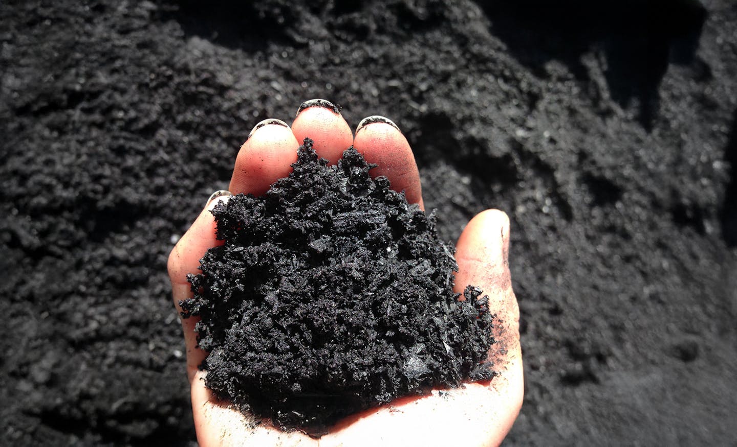 Biochar: Rediscovering ancient wisdom for modern soil health