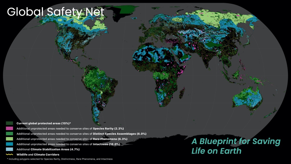 Laters of the Global Safety Net: A Blueprint for Saving Life on Earth