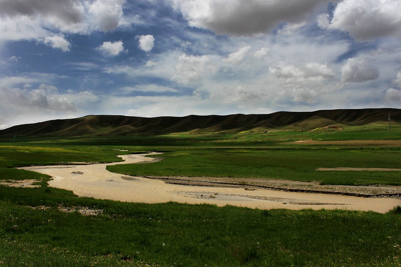 Zagros Mountain Forests & East Anatolian Steppe (PA27)