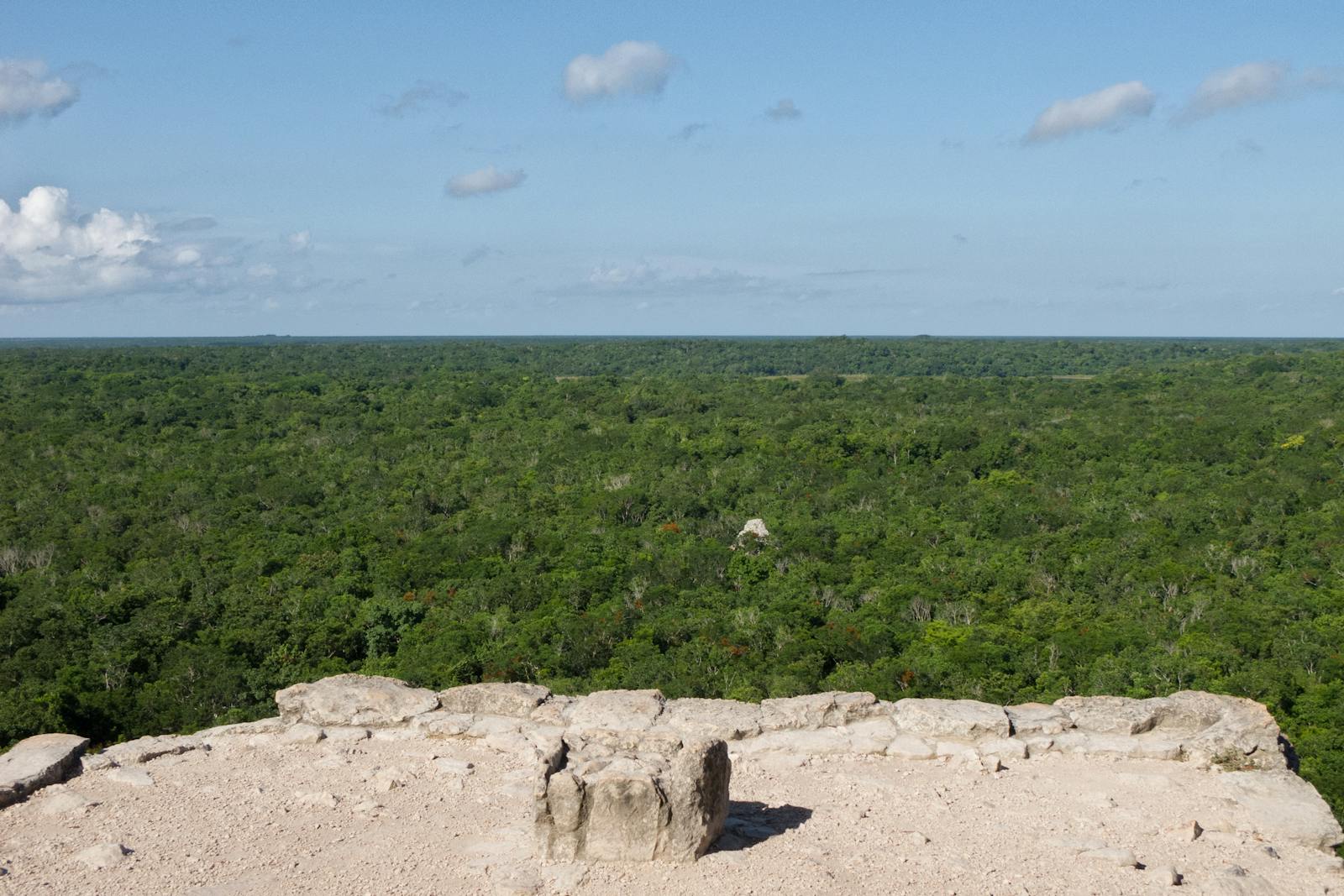 Yucatan Moist Forests
