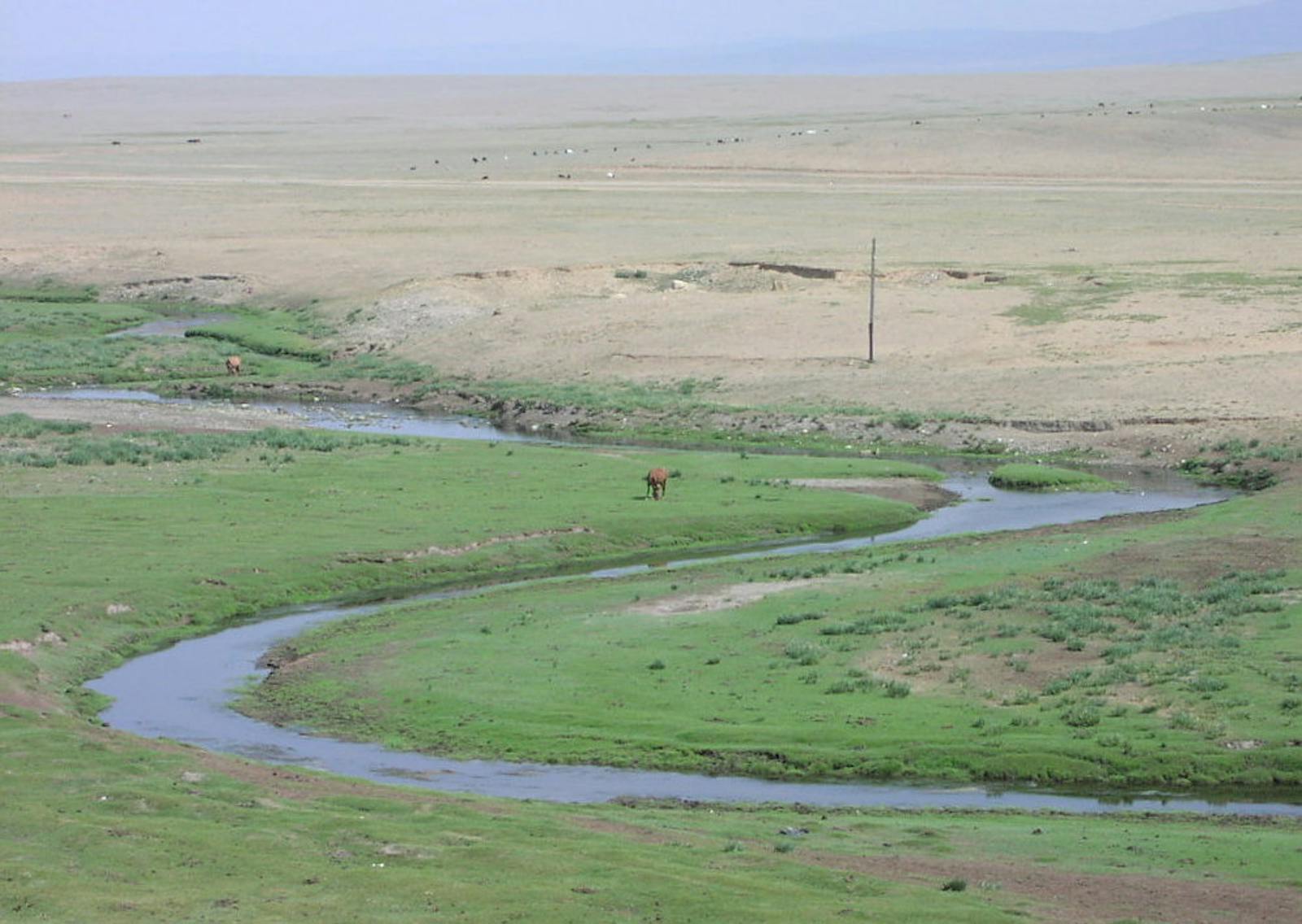 Mongolian-Manchurian Grassland