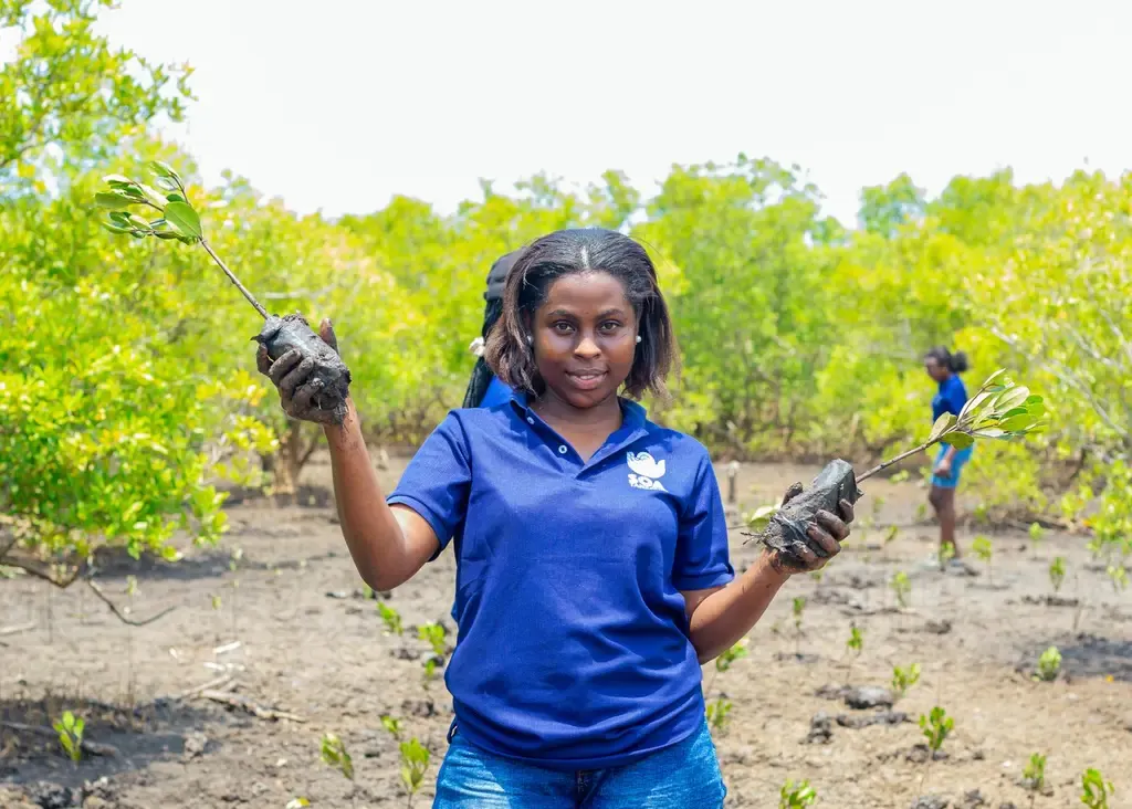 Restoring Bagamoyo's mangroves and seagrass meadows. Image Credit: Ma Earth.