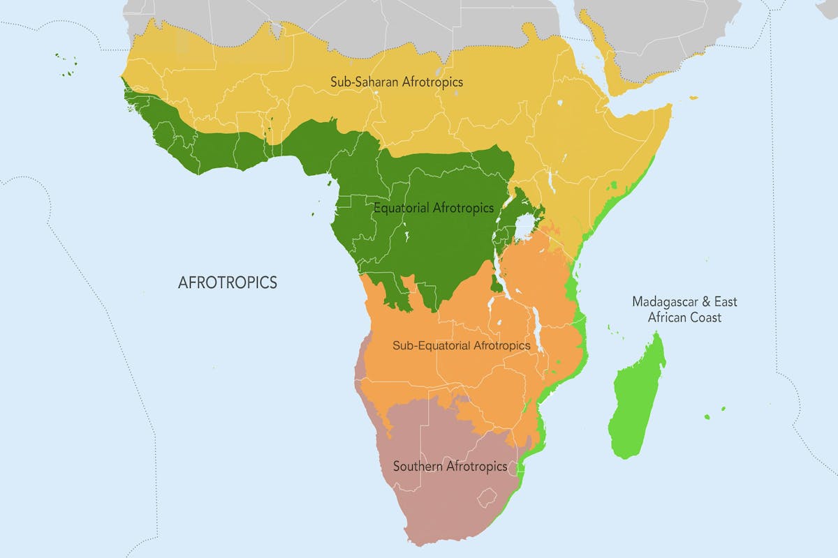 Afrotropics