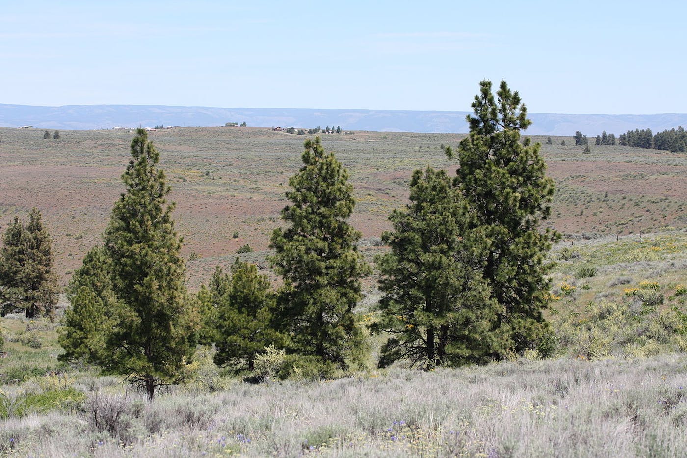 Columbia Plateau & Blue Mountains (NA17)