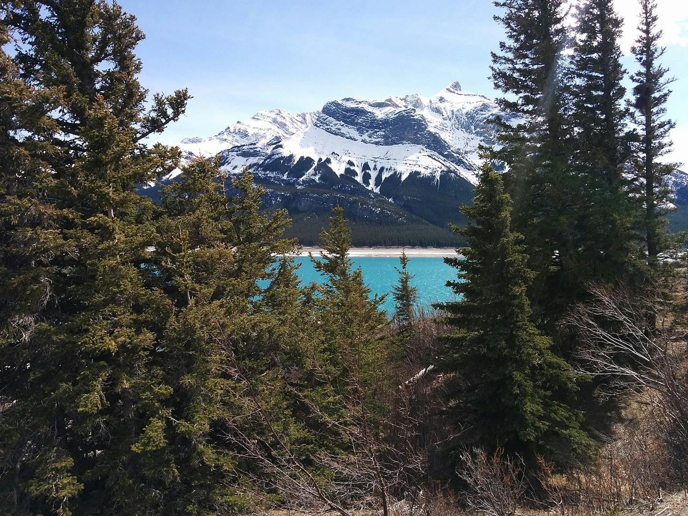 Mid-Canada Boreal Plains & Foothill Forests (NA8)