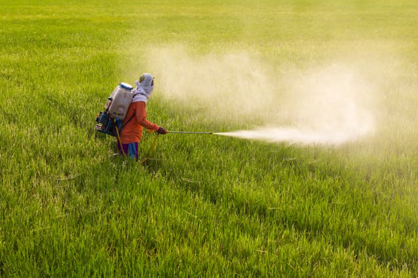 Fertilizer: a new battleground in the fight to solve the climate crisis