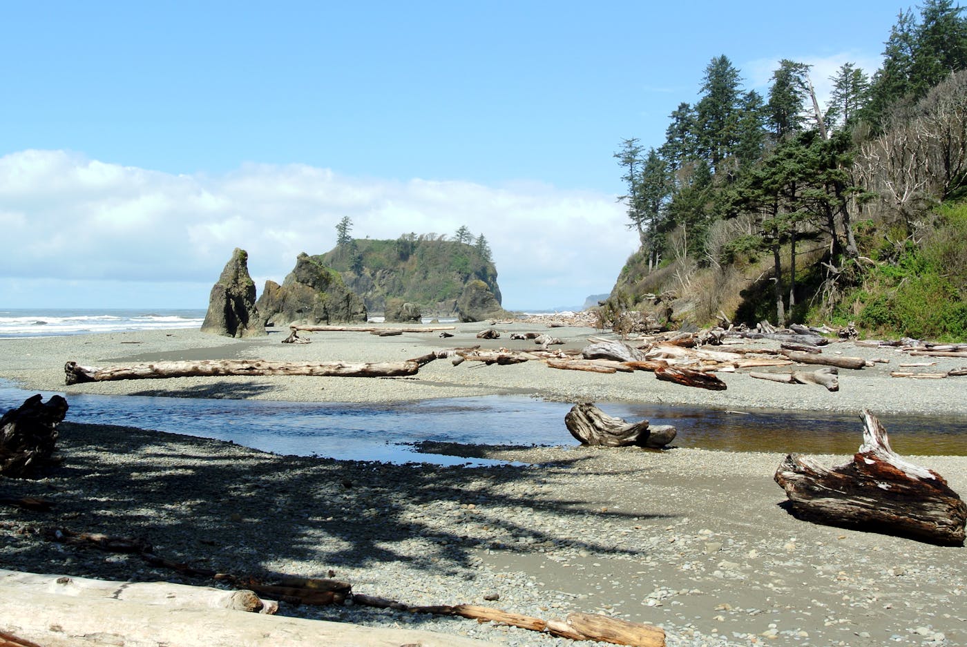 Pacific Northwest Coastal Forests (NA15)