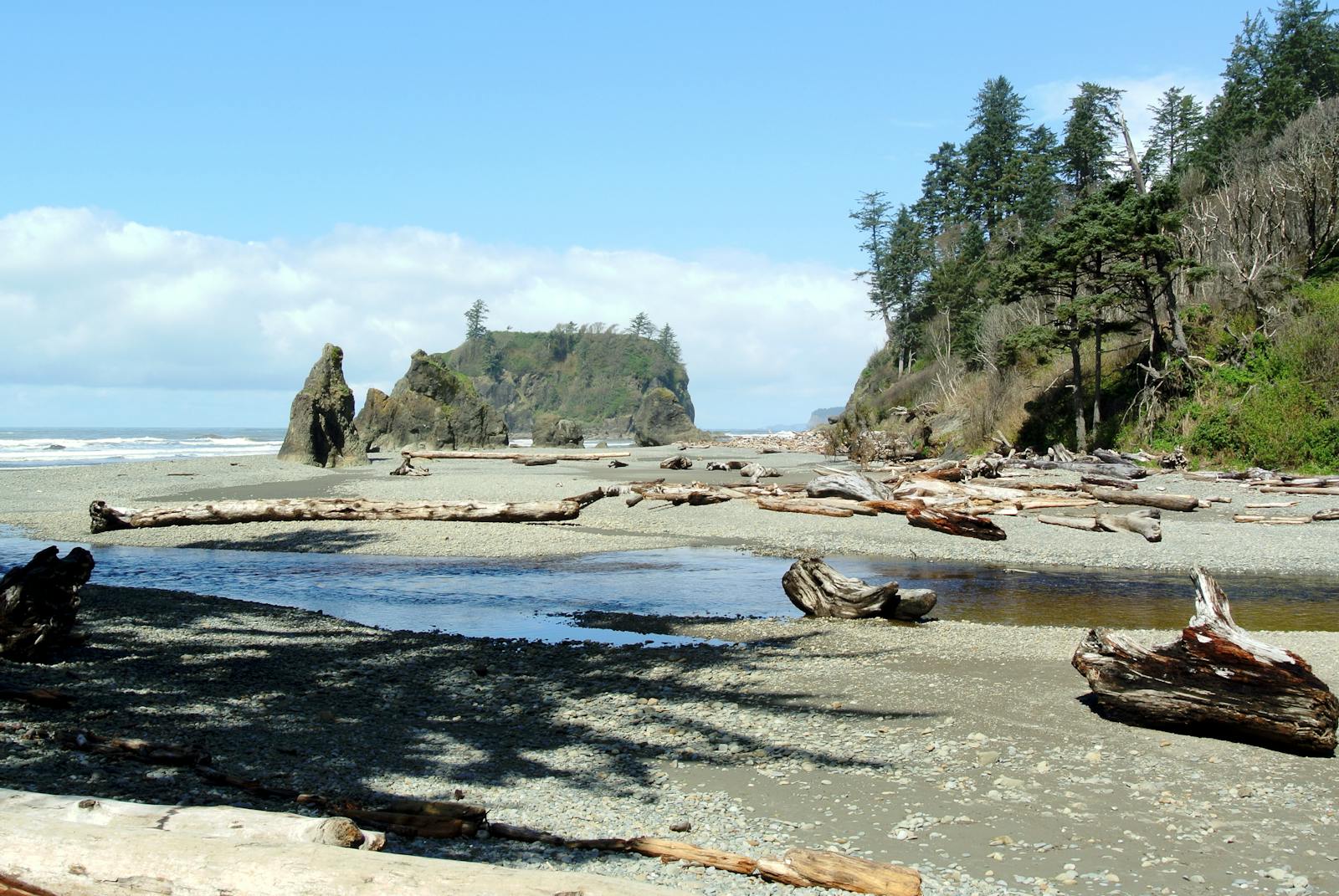 Central Pacific Northwest Coastal Forests