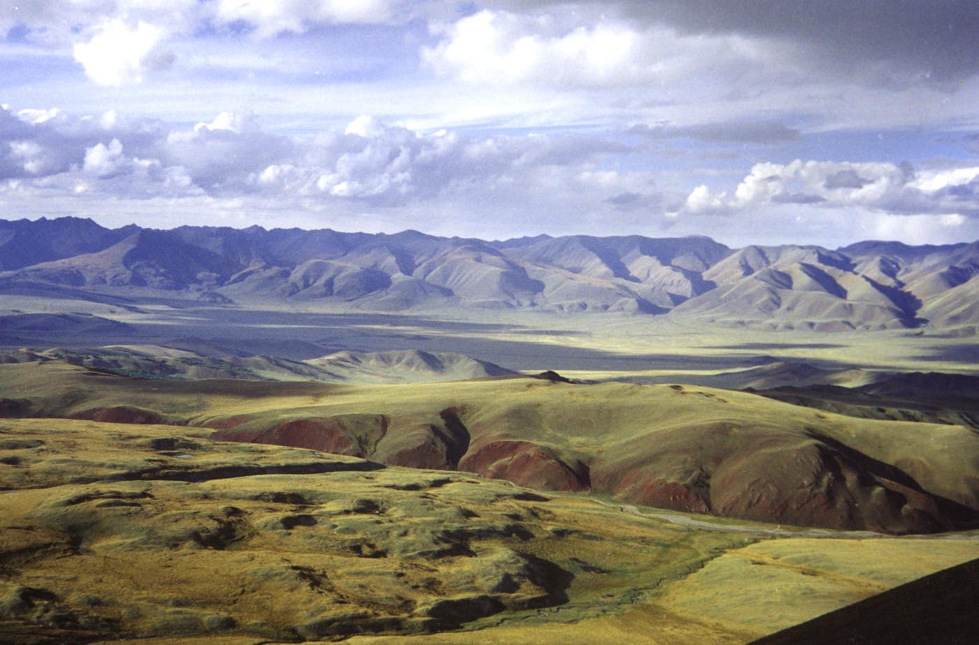 Altai Mountain Forests, Grasslands & Desert Steppe (PA37)