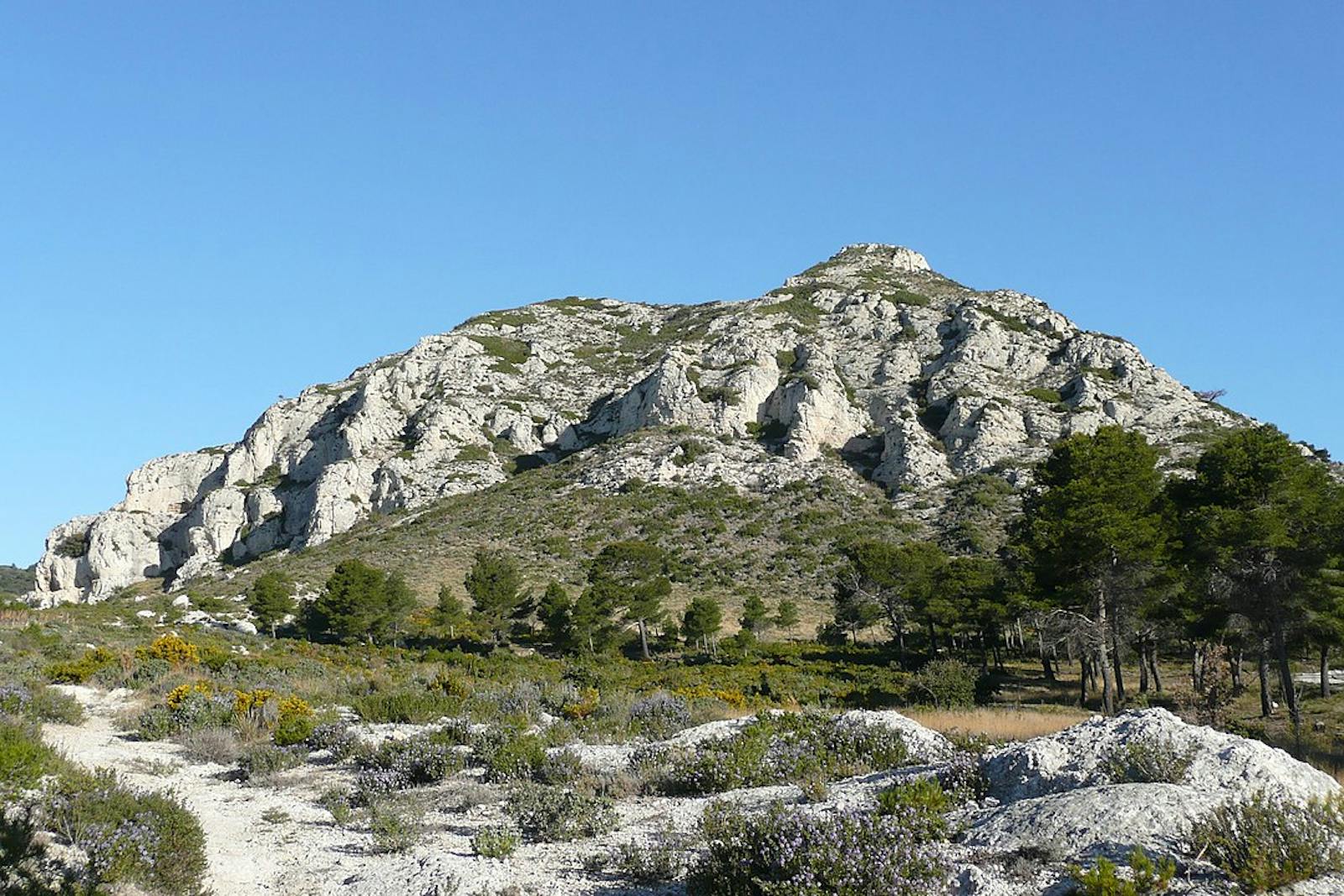 Northeastern Spain and Southern France Mediterranean Forests